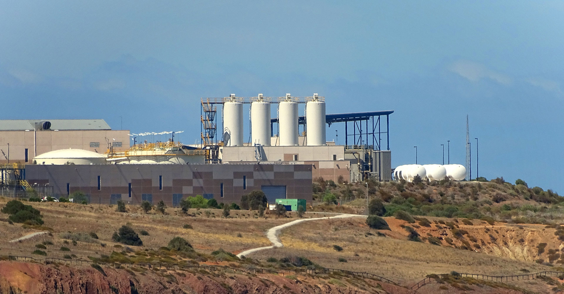 Polygon DeFi Explorer